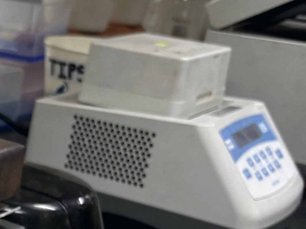 A benchtop dry bath with its keypad and display lit, a tub of pipette tips beside it.